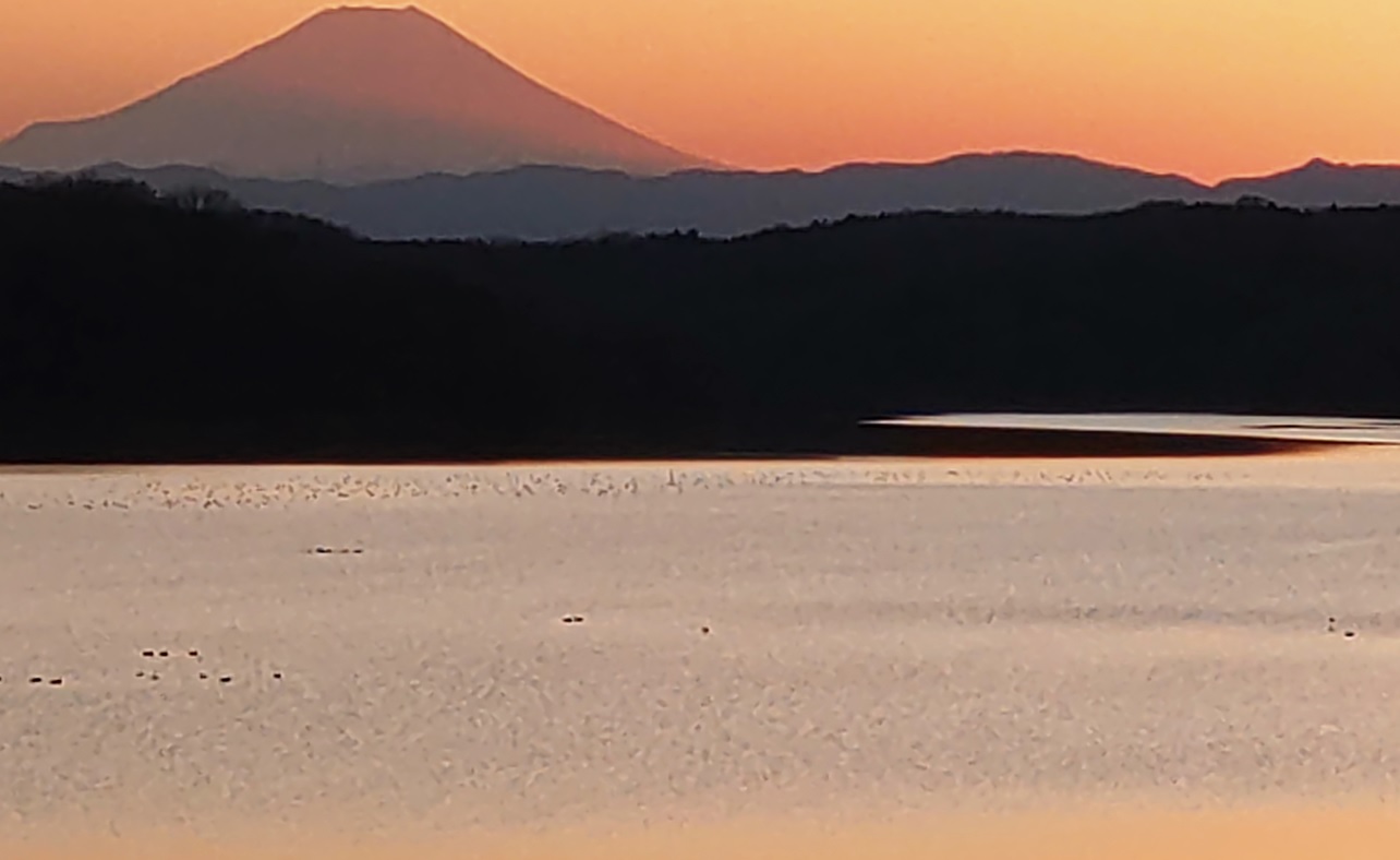 狭山湖堤防西端から眺める富士山_2023年1月11日16時45分
