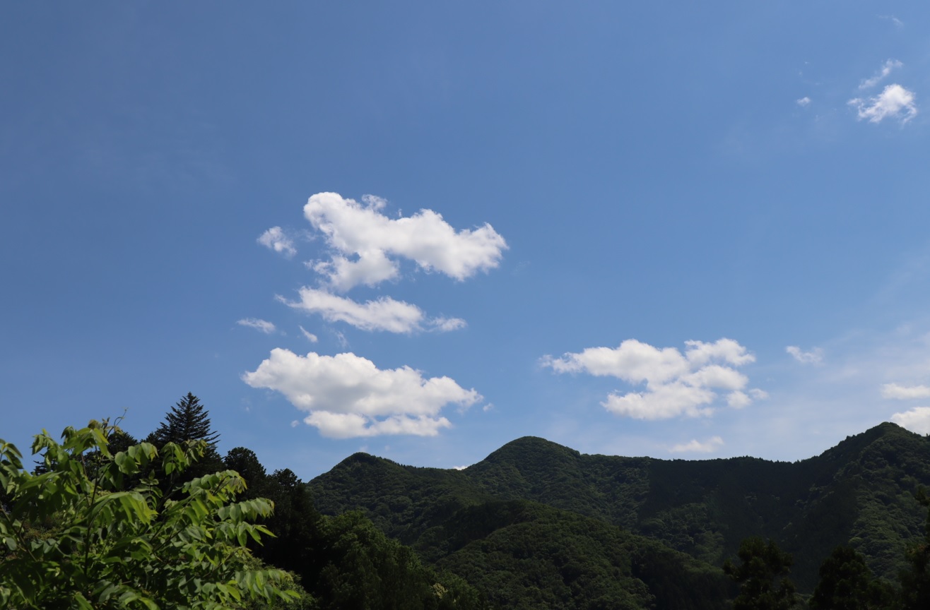 里山A付近から眺めた夏空_2022年6月1３日１３時５分頃気温２６度